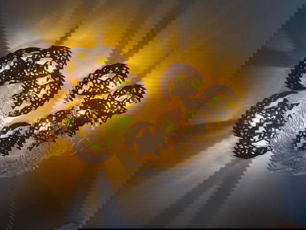 فروع نور دهبي Image 1 Preview
