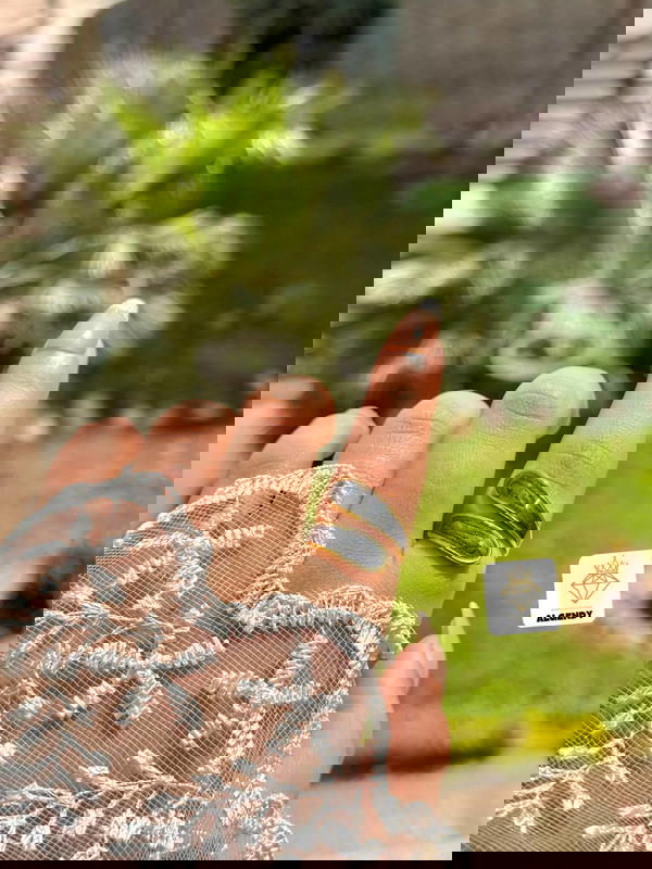خاتم صدف ستانليس بيور  Image 1 Preview