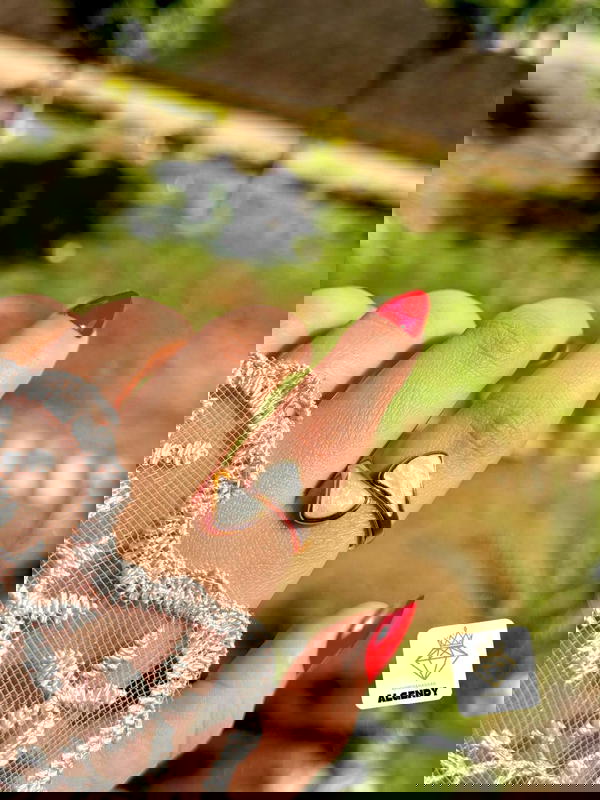 خاتم صدف ستانليس بيور عيار ٣١٦  Image 3 Preview