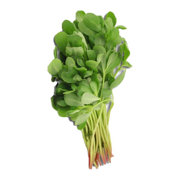 بربينيا Image 1 Preview