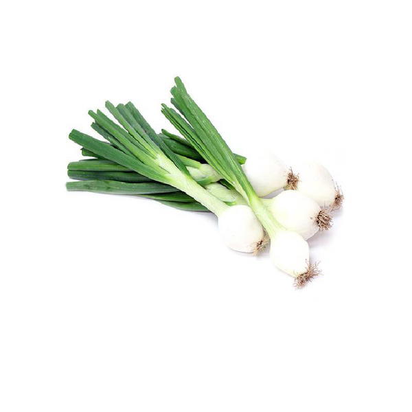 بصل اخضر Image 1 Preview