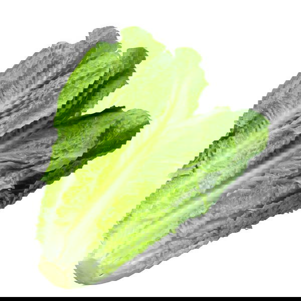 خس  دبل Image 1 Preview