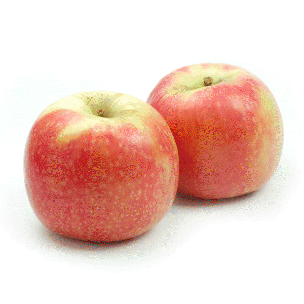تفاح صيفي  Image 1 Preview