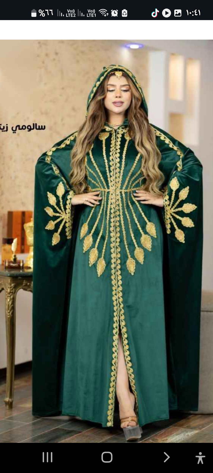 سالومي شتوي Preview Image