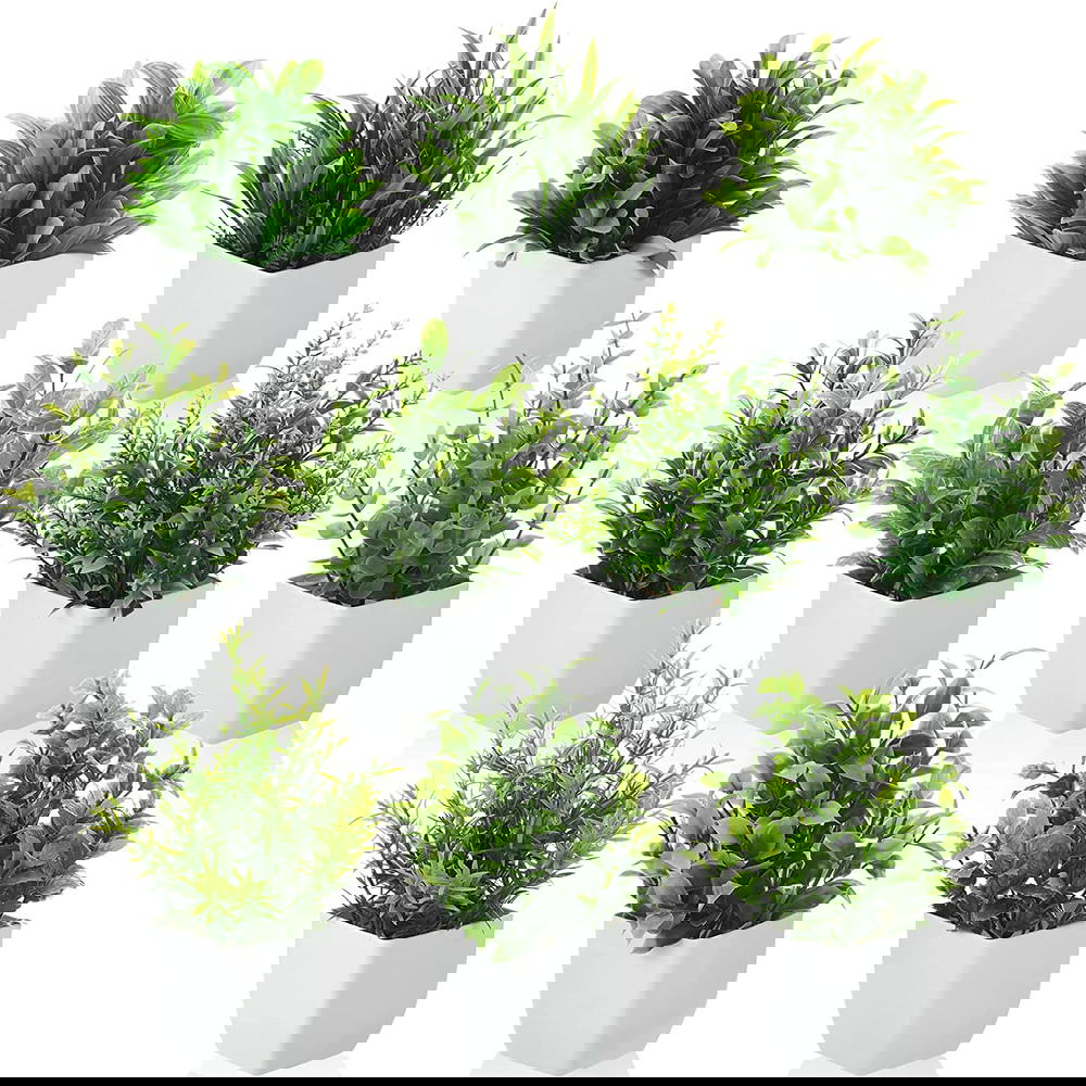 زرع ورد بالستيك قصيص بلاستيك كبير Preview Image