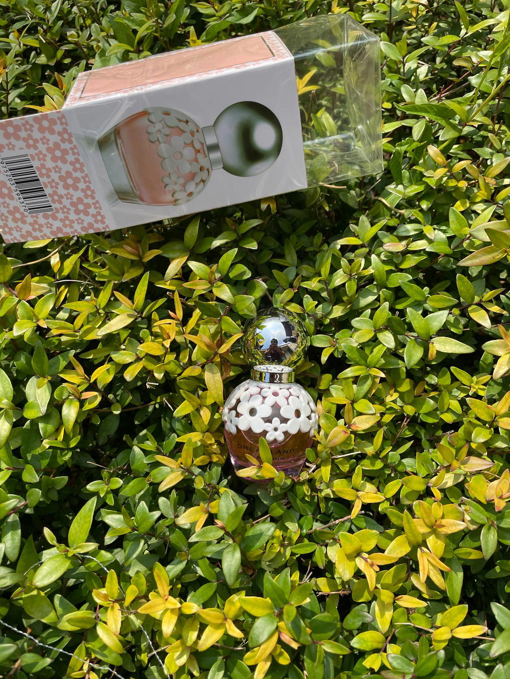 عطر نونو هادىء Preview Image