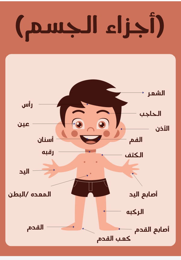 اجزاء الجسم عربي Image 1 Preview