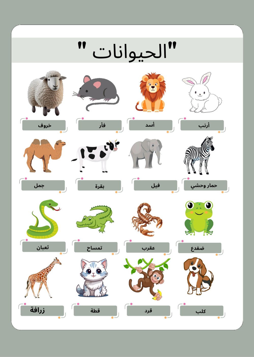 الحيوانات بالعربي  Preview Image