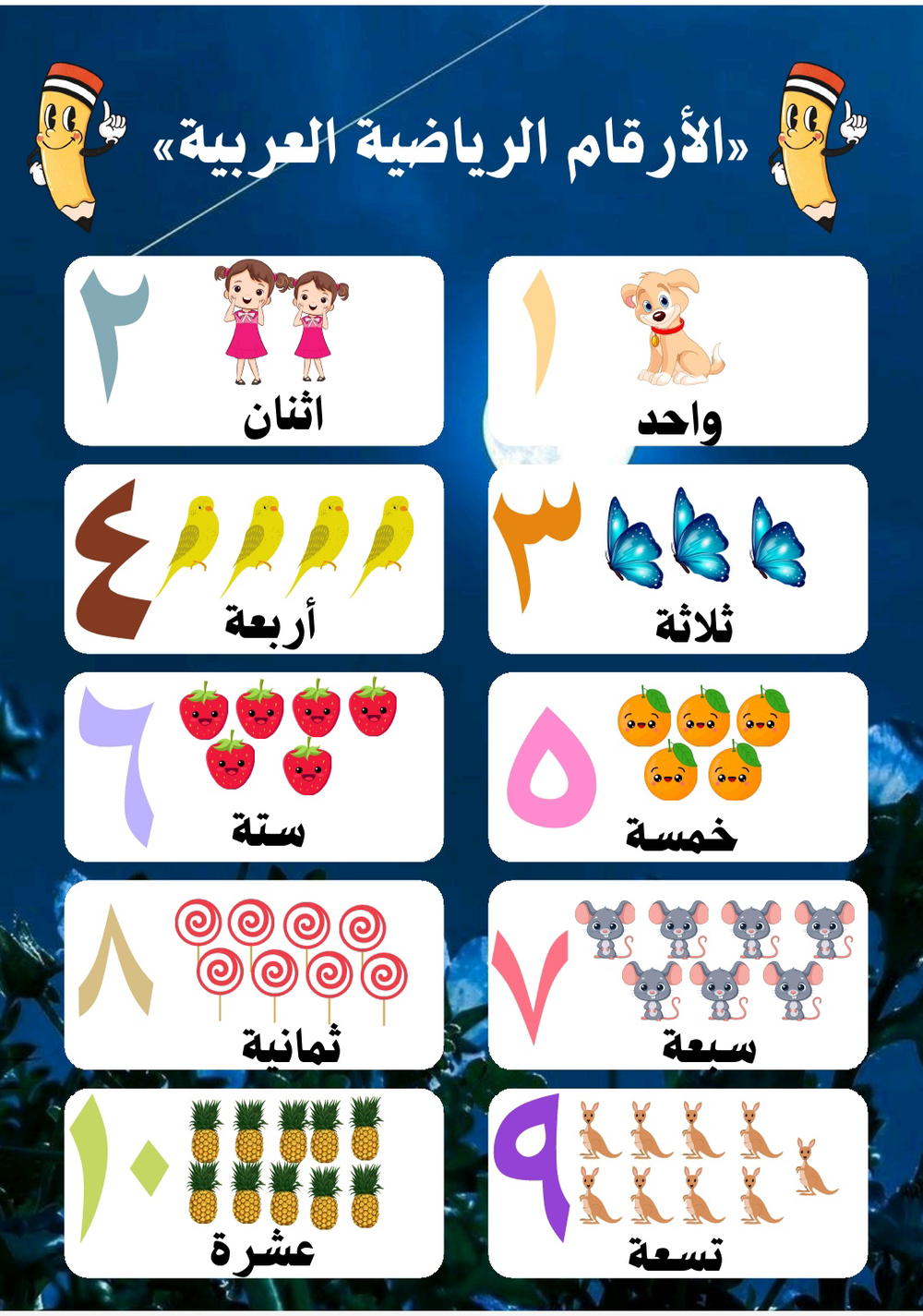 أرقام عربي  Preview Image