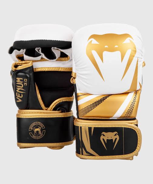 جوانتي MMA سبارينج Image 4 Preview