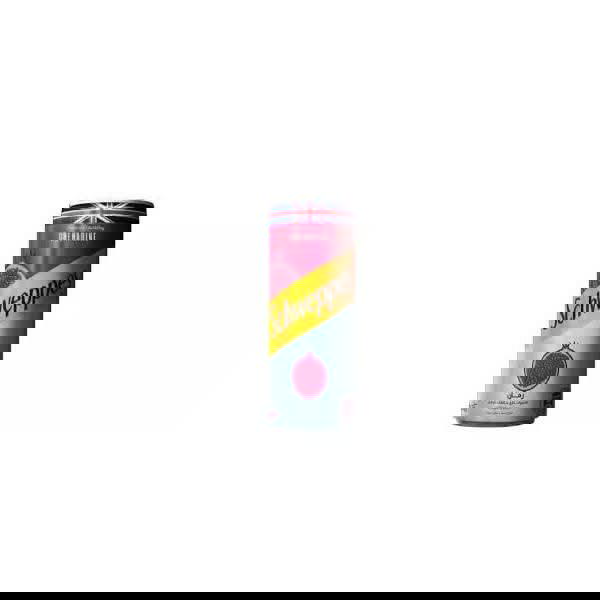 شويبس رمان كنز جيب Image 1 Preview