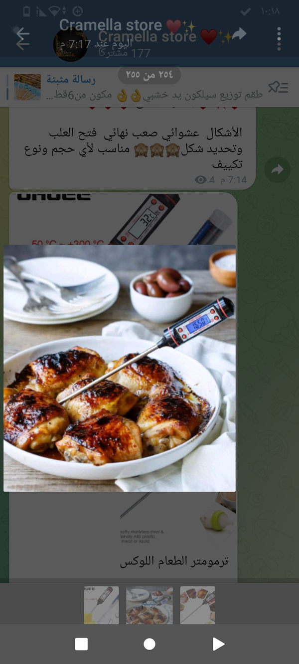 ترمومتر الطعام Image 1 Preview