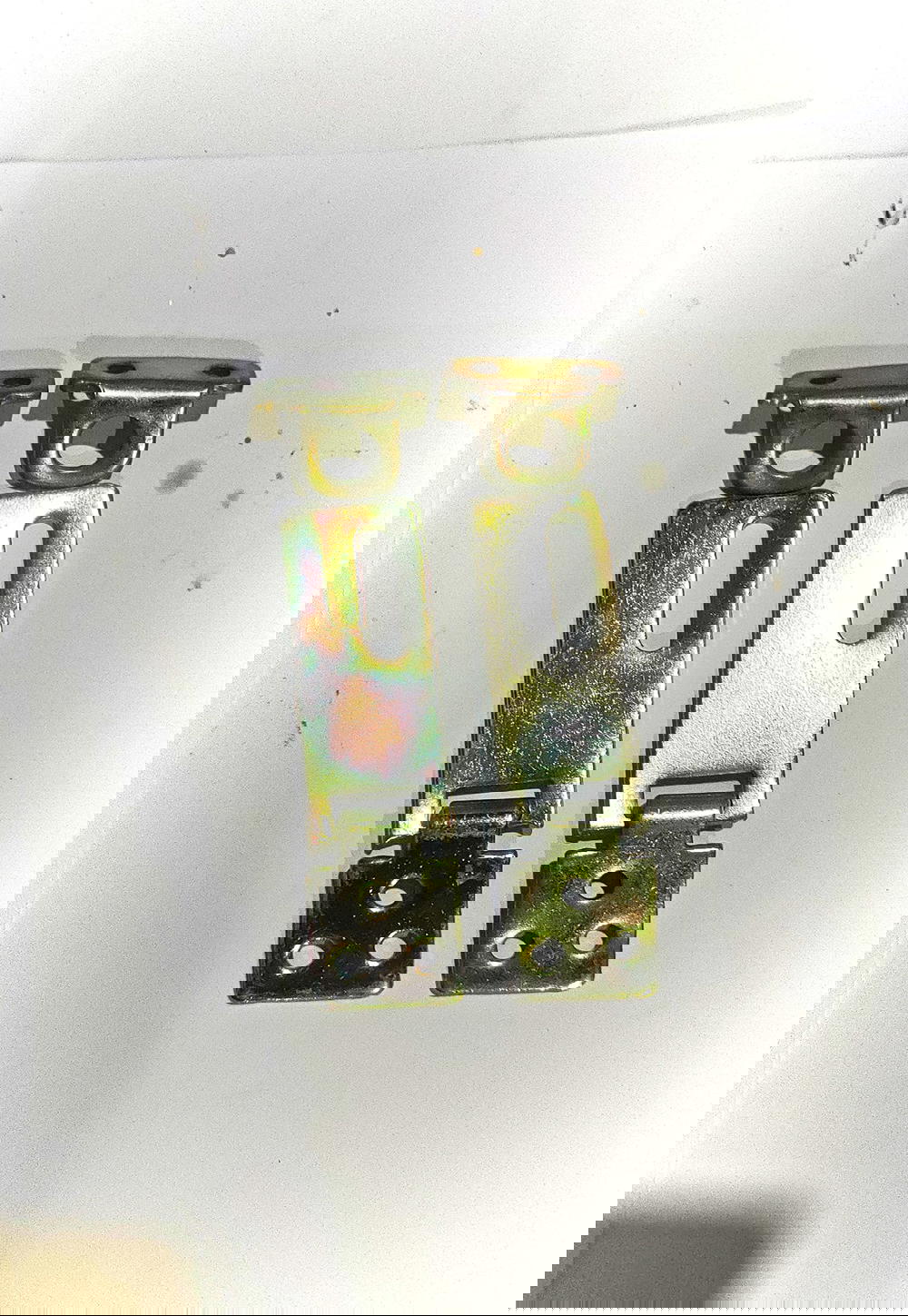  رز باب Preview Image