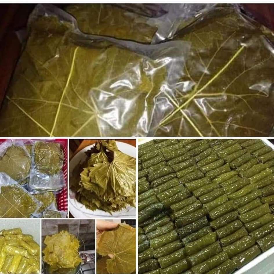 ورق عنب سوري فاكيوم Preview Image