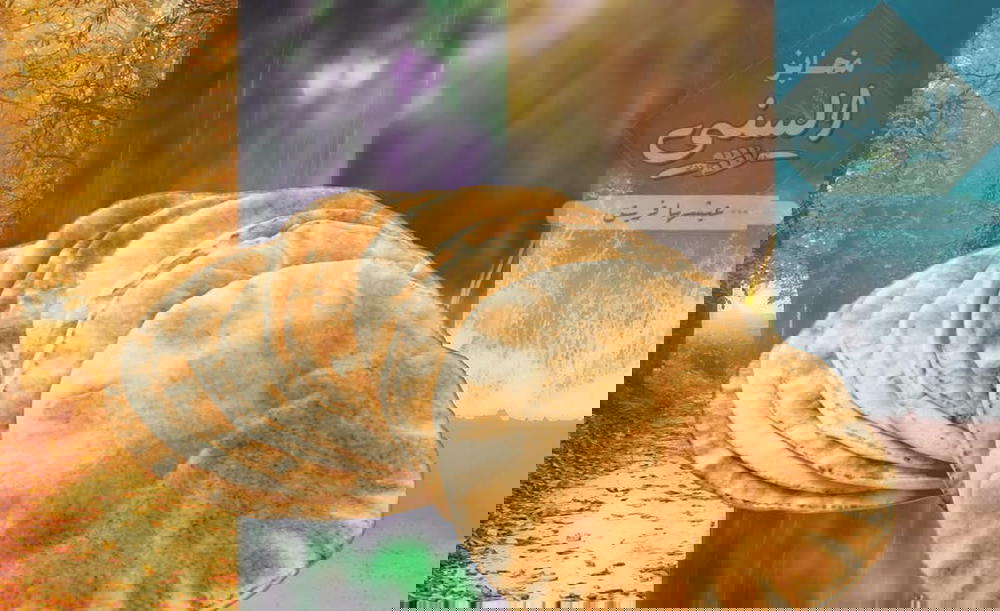عيش السني  Preview Image