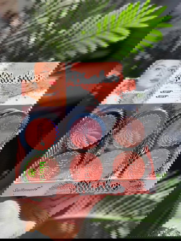 بلشر بجنن  Image 2 Preview