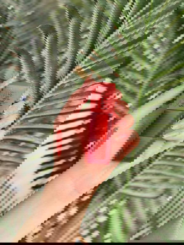 حومرة بتجنن بديلة ميبلين  Image 1 Preview