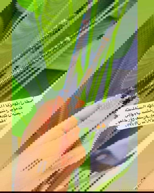 كحل ايڤونا  Image 1 Preview