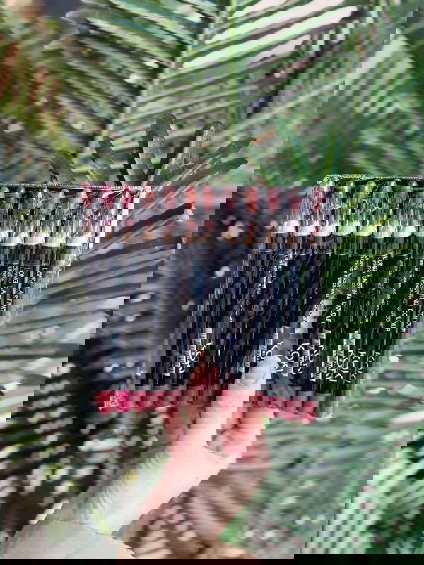 ليب لاينر دزينه 12 حبة  🔥🔥 Image 2 Preview