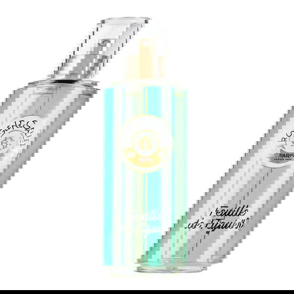 سبلاش Image 2 Preview