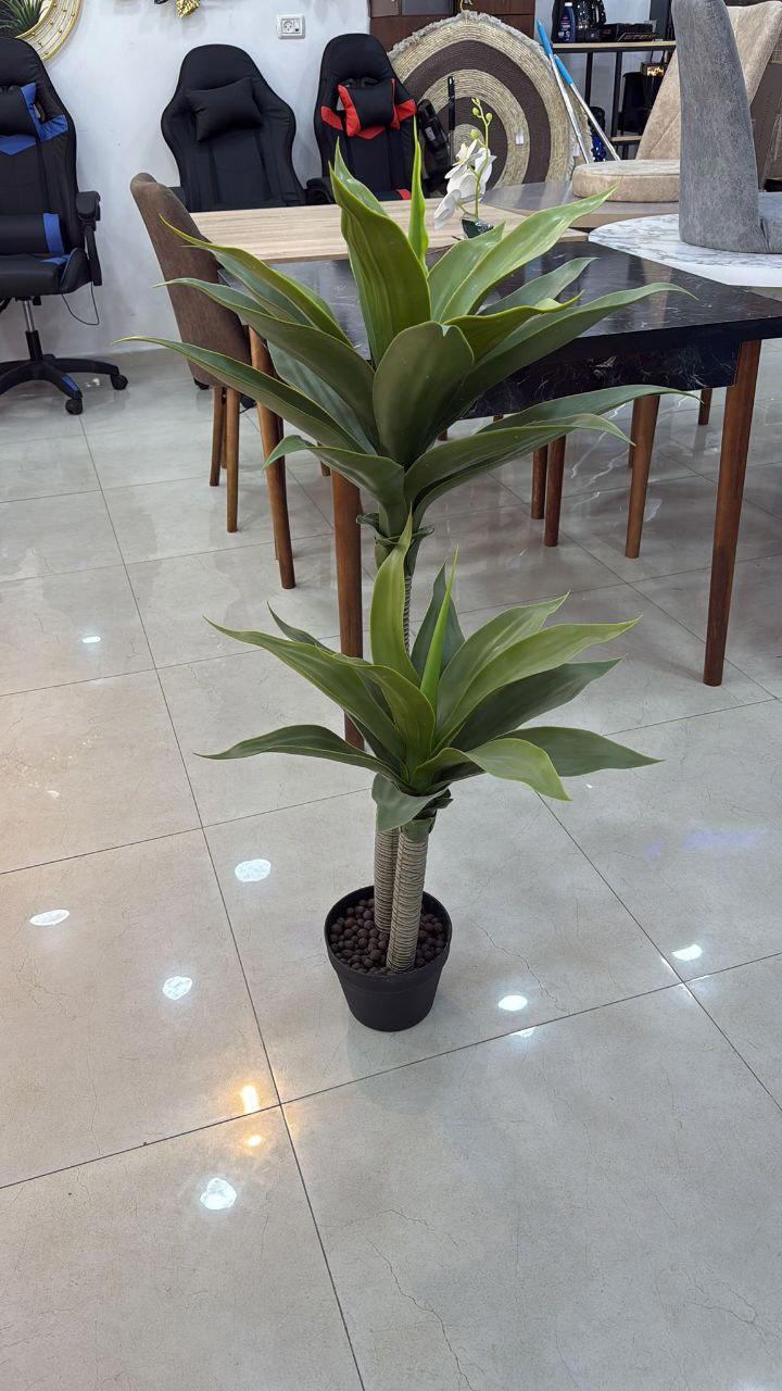 شجر Preview Image