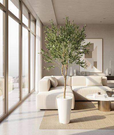 شجر الموز  Image 2 Preview