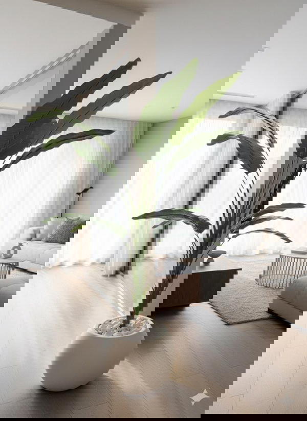 شجر موز Image 2 Preview