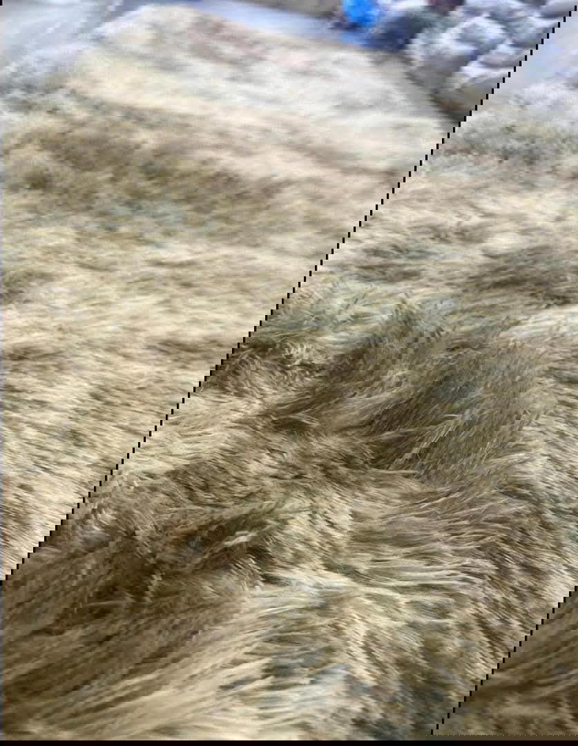 سجاد فرو نافر مرتب   Preview Image