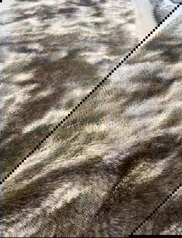 سجاد فرو نافر مرتب   Image 5 Preview