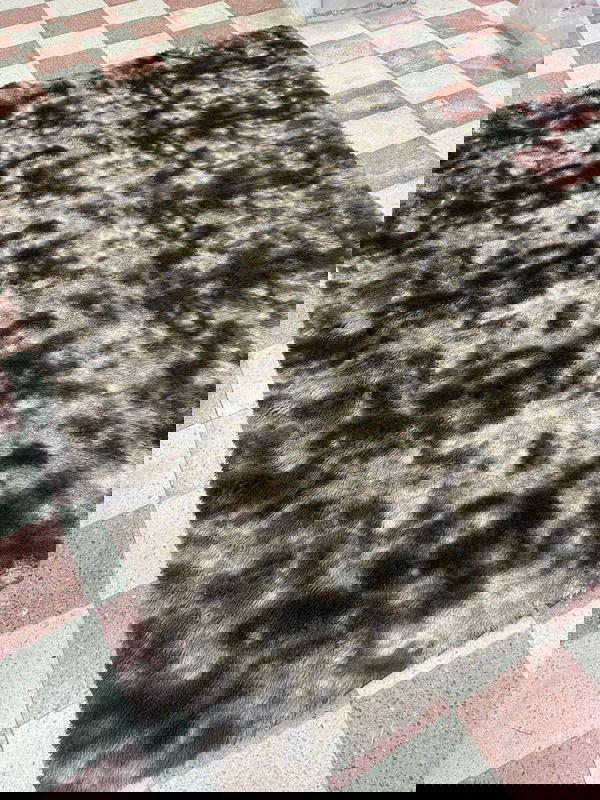 سجاد فرو نافر مرتب Image 3 Preview