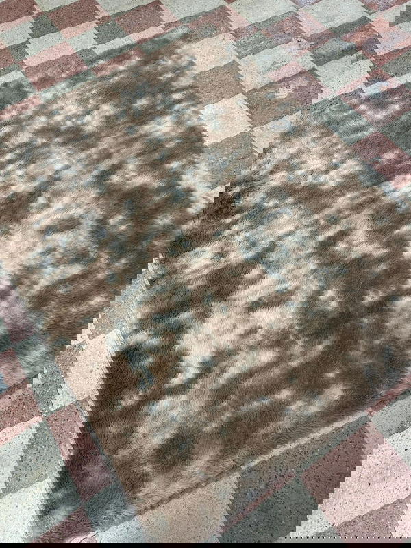 سجاد فرو نافر مرتب ✅متوفر مقاس160*200 والالوان المتبقيه من الحجم الصغير  بني بيج سكني 🙏🏻🙏🏻✅ارضيه مانع تزحلق حبيباتY Image 1 Preview