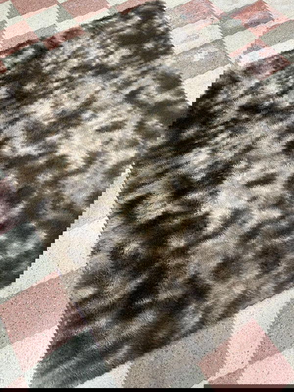 سجاد فرو نافر مرتب ✅متوفر مقاس160*200 والالوان المتبقيه من الحجم الصغير  بني بيج سكني 🙏🏻🙏🏻✅ارضيه مانع تزحلق حبيباتY Image 3 Preview