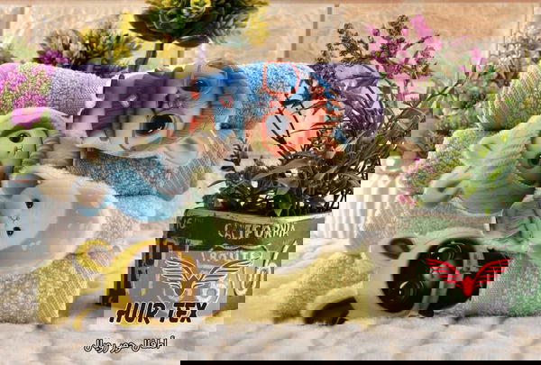 فوطه أطفال 5ق حور تكس Image 5 Preview