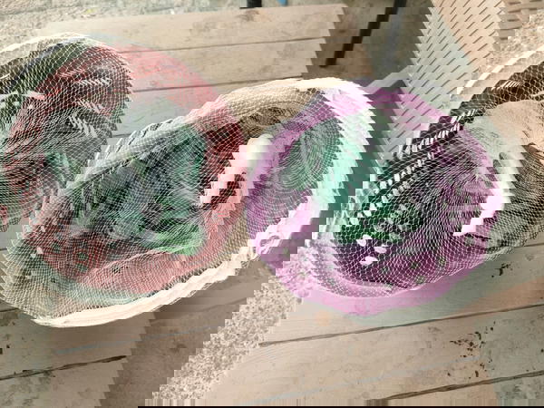 سبت مع عدد 10مشبك  Image 1 Preview