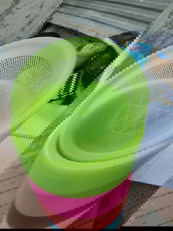 صفايه طبق الوان  Image 1 Preview
