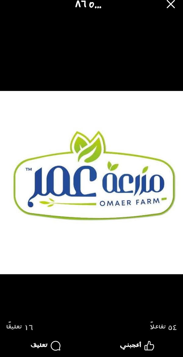 مزرعة عمر Logo