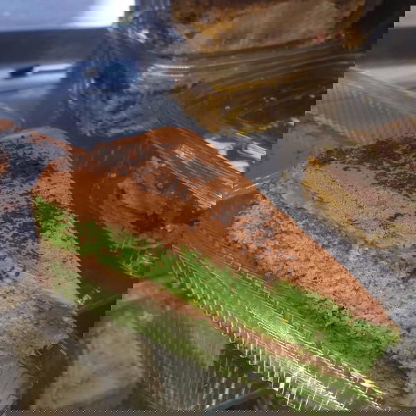 كيك نوتيلا بستاشيو دقيق لوز Image 1 Preview