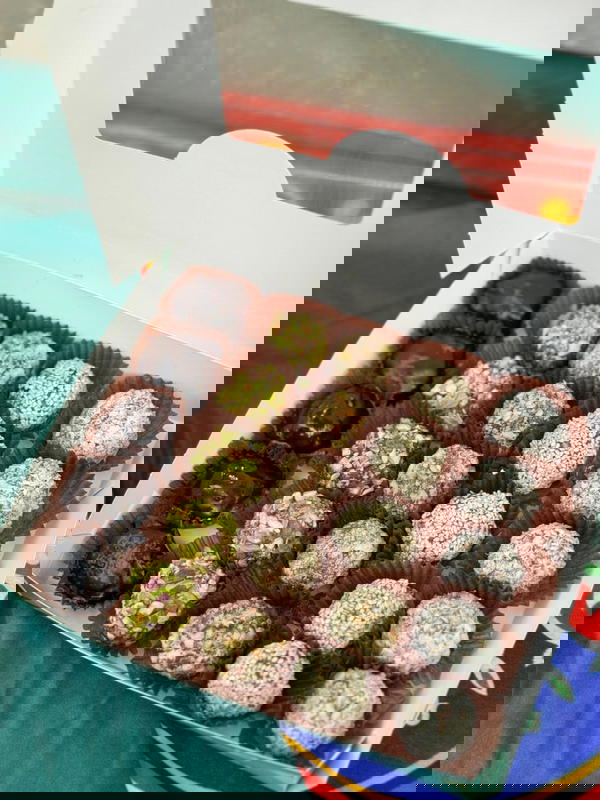 تمريه( كرات الطاقه) 650جم  Image 2 Preview