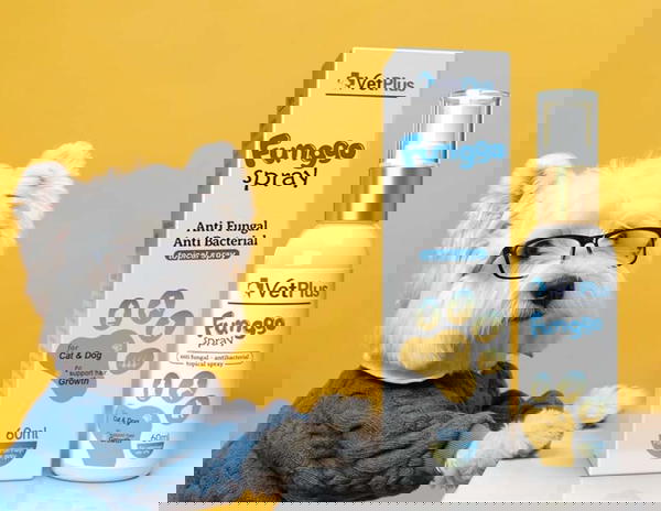 بخاخ الفطريات  Image 2 Preview