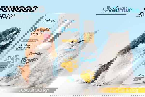 بخاخ الفطريات  Image 3 Preview