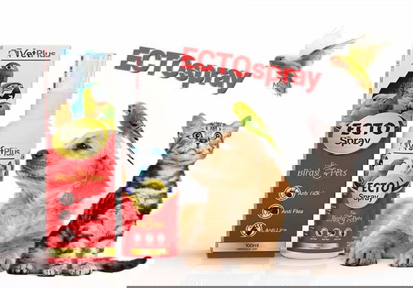 بخاخ مضاد للبراغيث Image 1 Preview