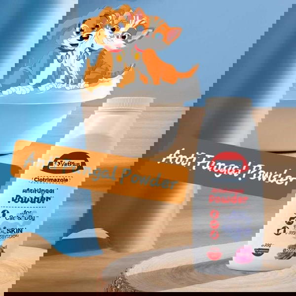 بوطرا مضاد للفطريات  Image 2 Preview
