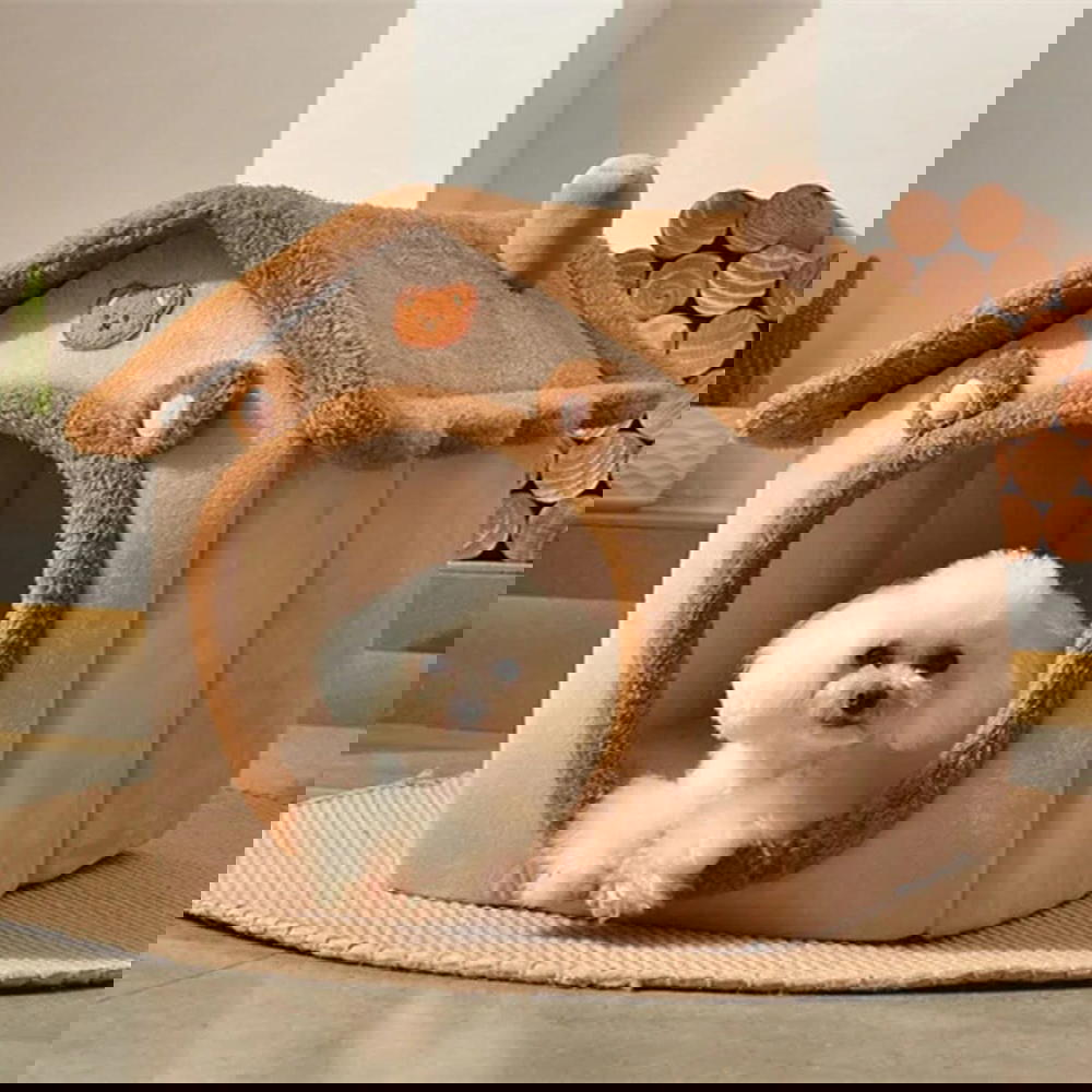بيت للقطط Preview Image