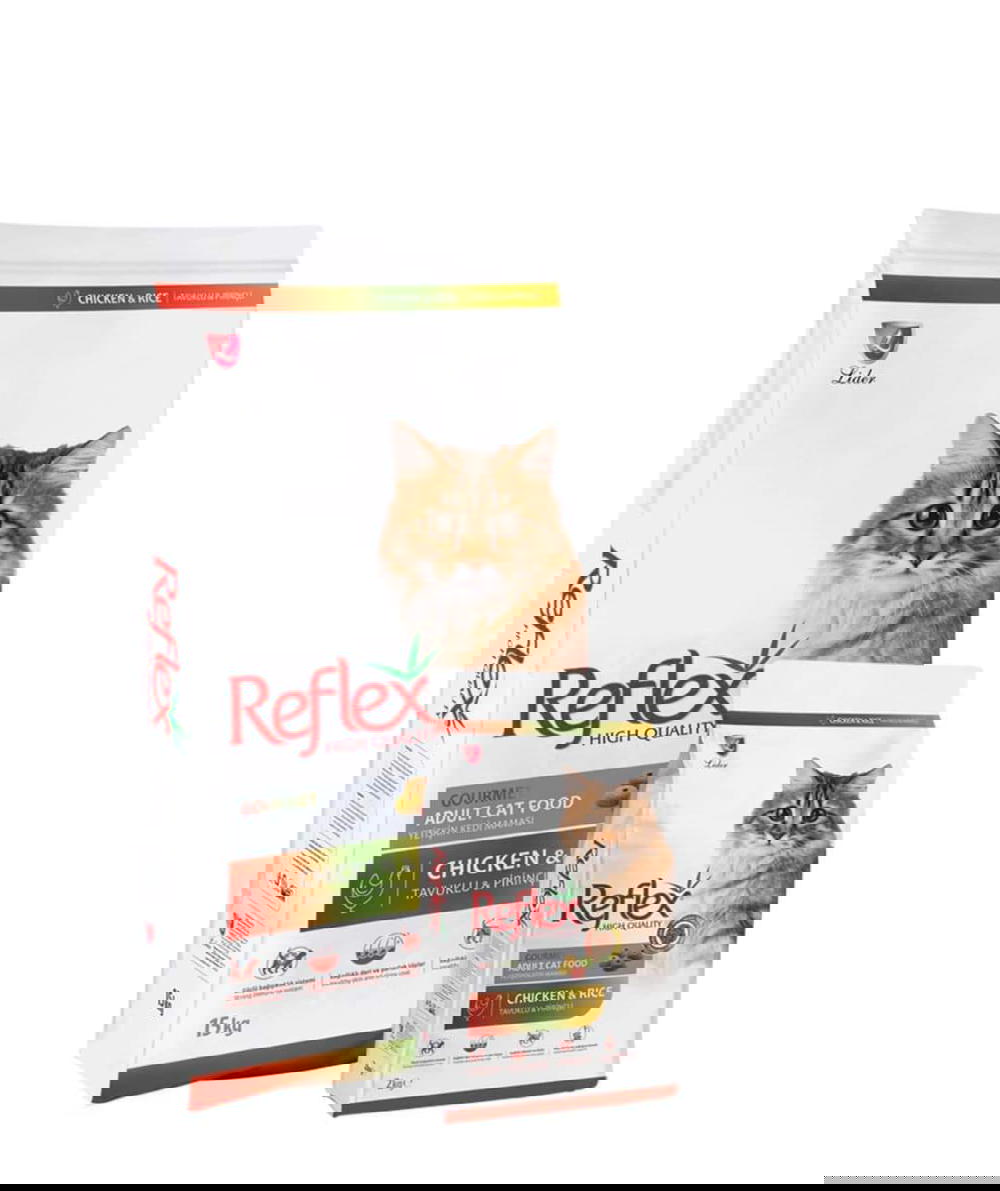 دراي فود  Preview Image