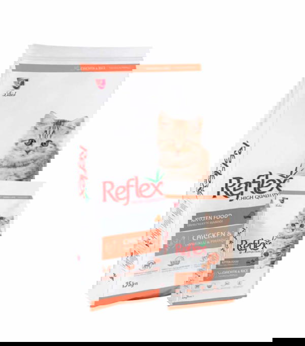 دراي فود  Image 1 Preview