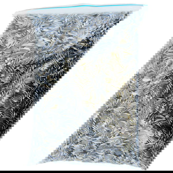 حب شمس  Image 2 Preview