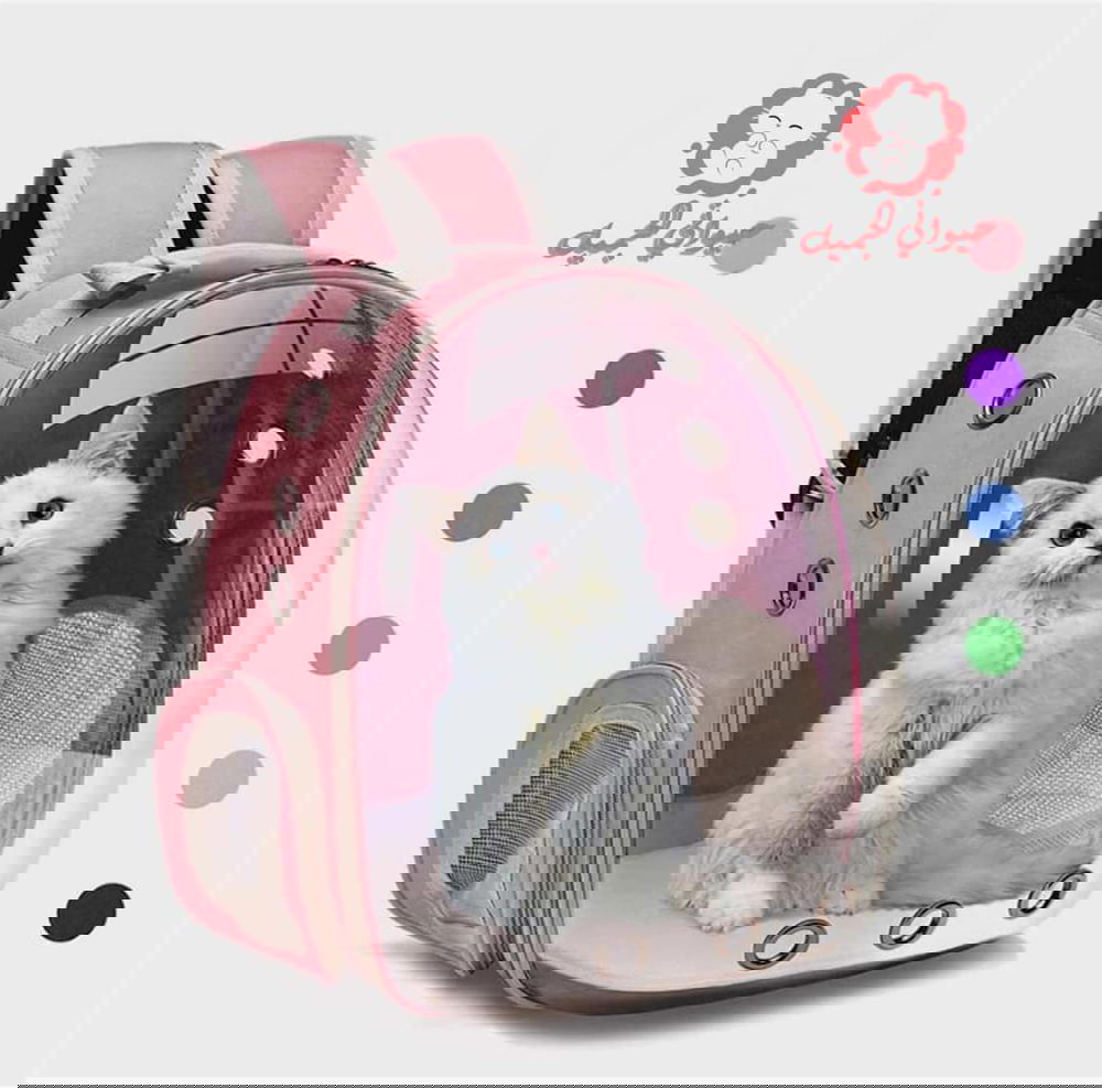 حقيبة القطط  Preview Image