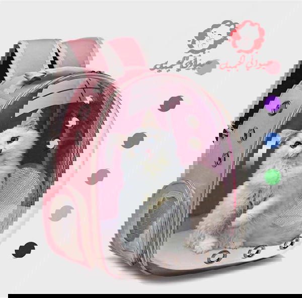 حقيبة القطط  Image 1 Preview