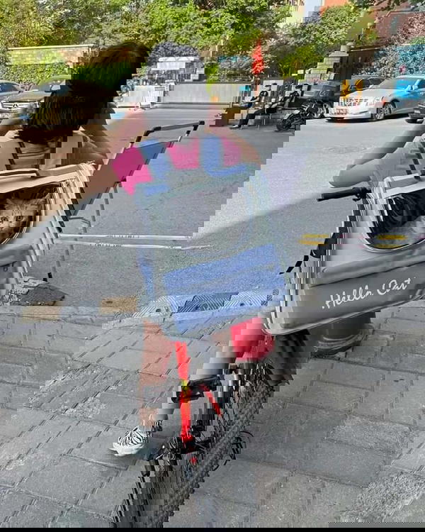 حقيبة القطط  Image 2 Preview