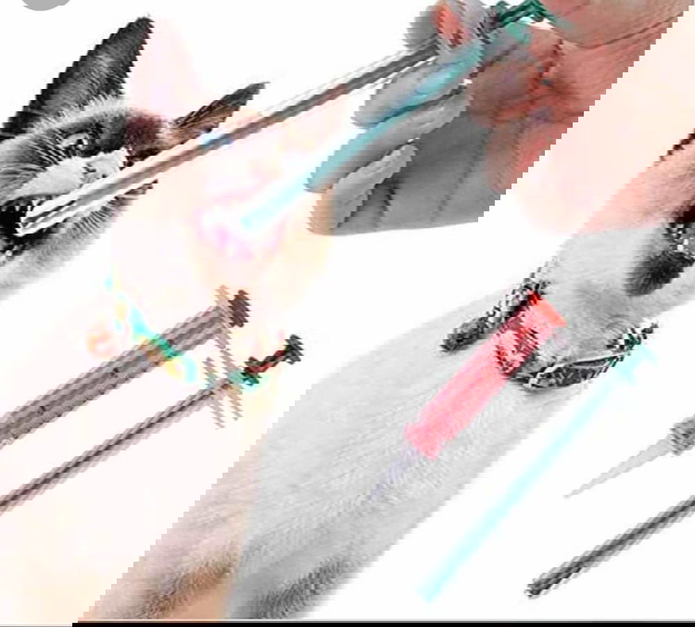 جراعة الحبوب  Preview Image